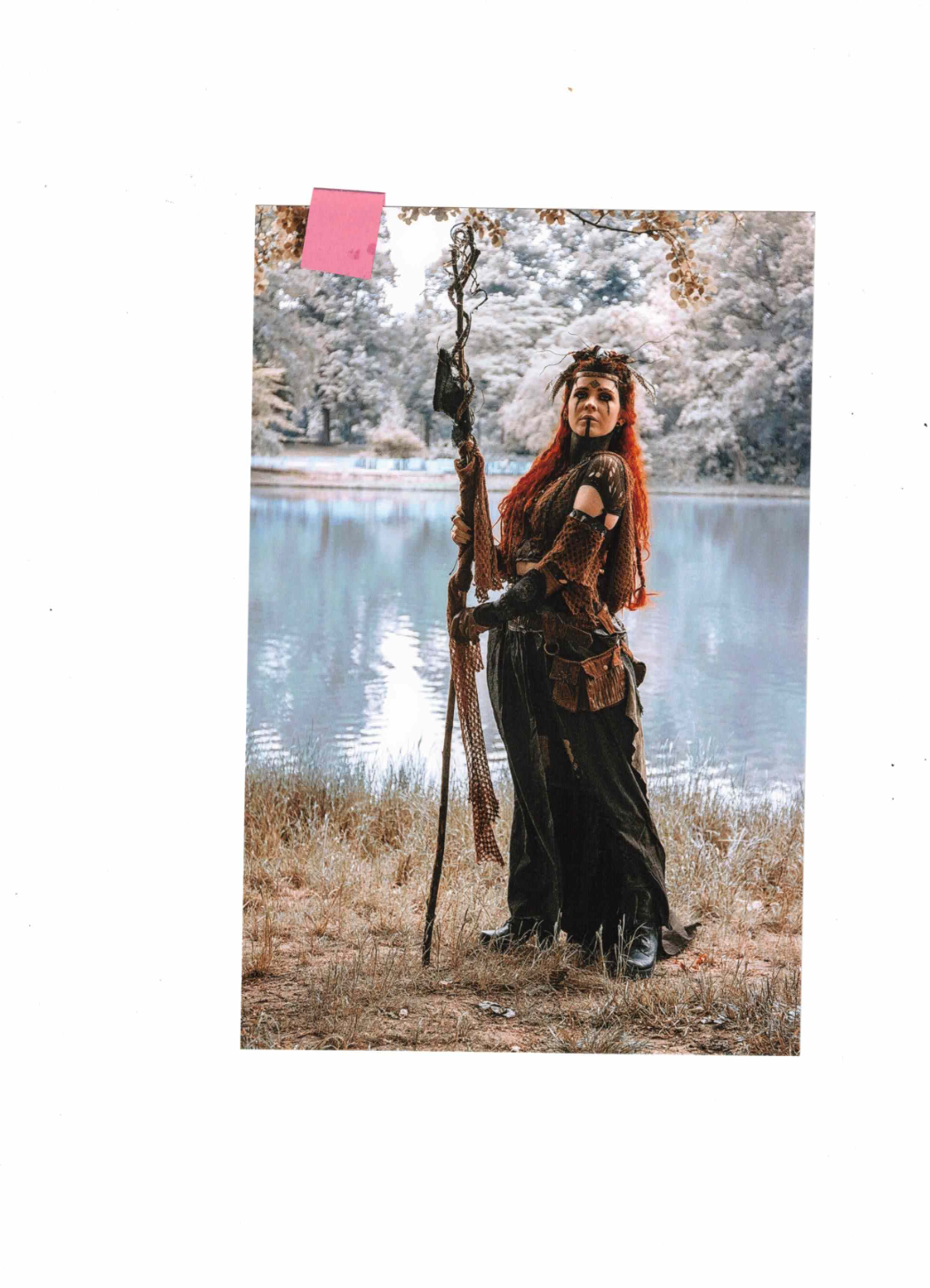 Hochglanzbild auf Fotopapier in 56479 Oberrod u.a. (Rheinland-Pfalz)