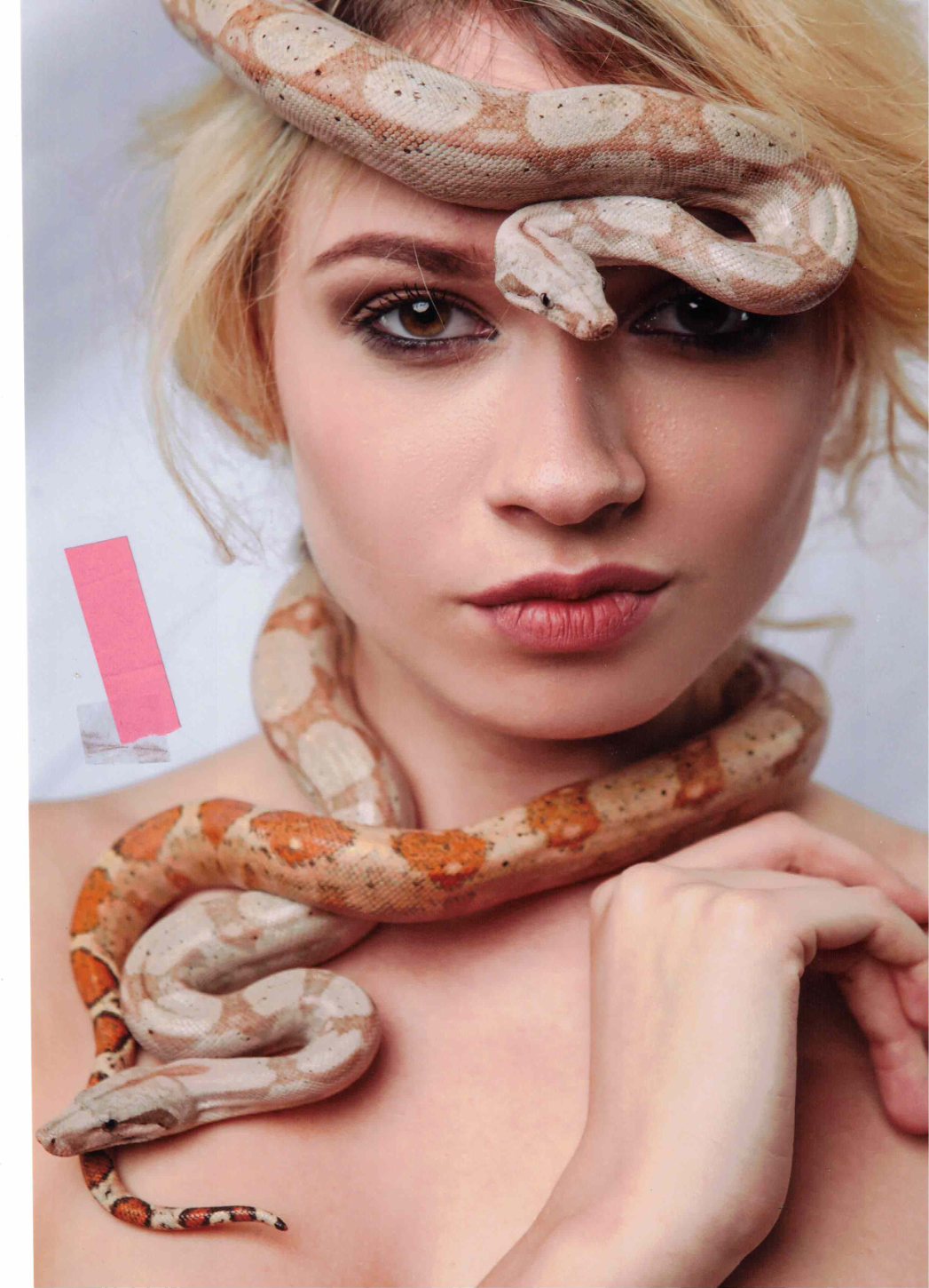 Hochglanzbild auf Fotopapier in 56479 Oberrod u.a. (Rheinland-Pfalz)