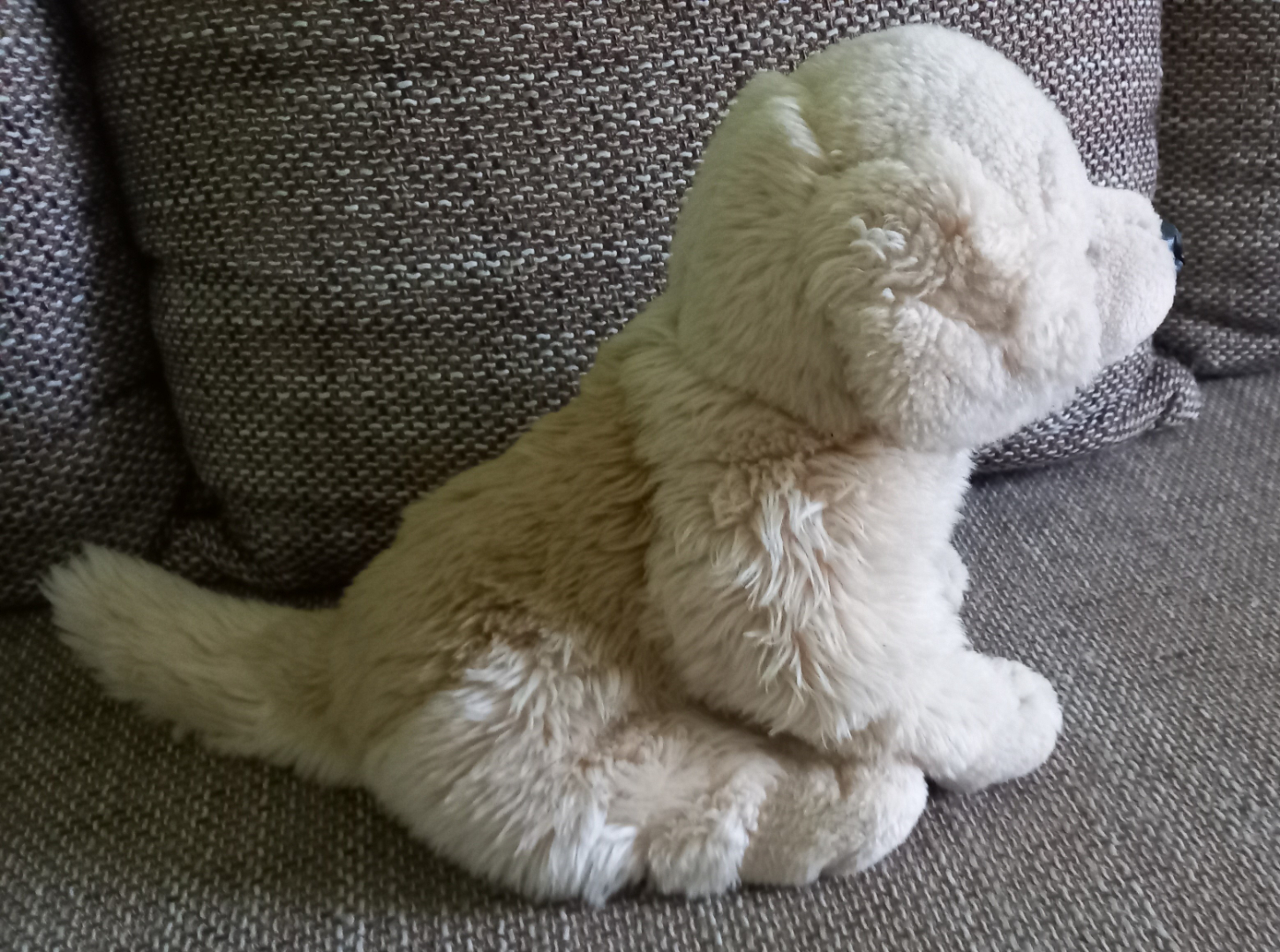 Sitzender Plüsch Hund in Staßfurt  (Sachsen-Anhalt)