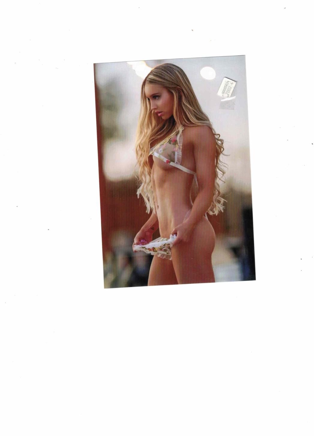 Hochglanzbild auf Fotopapier in 56479 Oberrod u.a. (Rheinland-Pfalz)