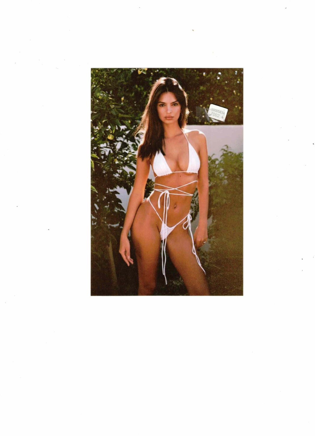 Hochglanzbild auf Fotopapier in 56479 Oberrod u.a. (Rheinland-Pfalz)