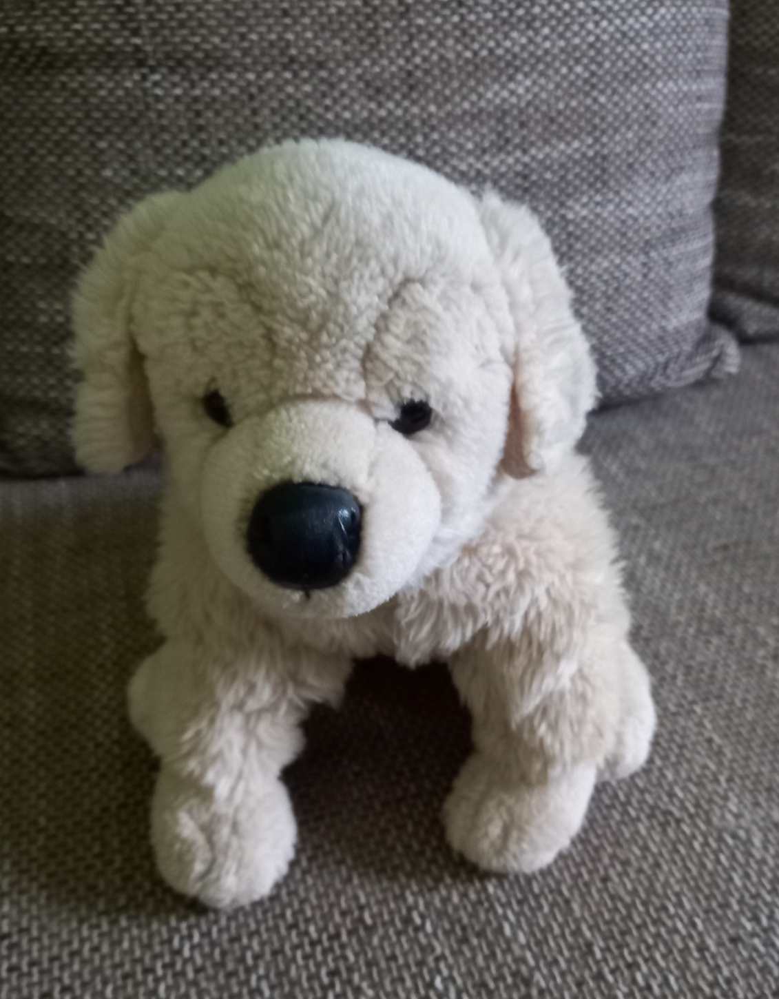 Sitzender Plüsch Hund in Staßfurt  (Sachsen-Anhalt)