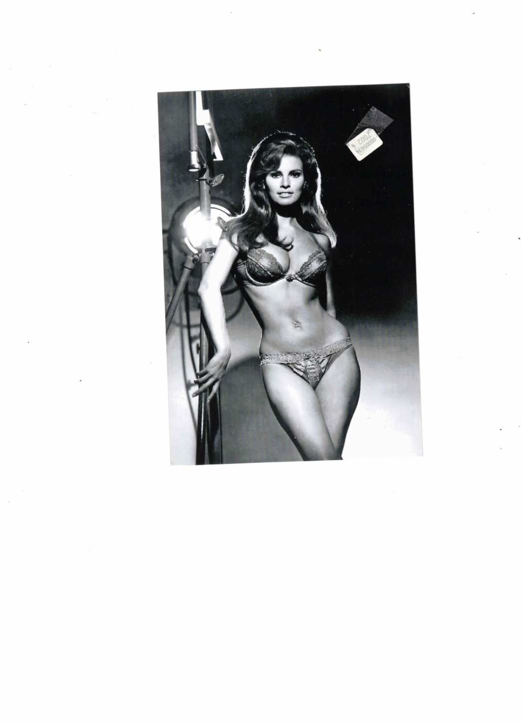 Hochglanzbild auf Fotopapier S/W in 56479 Oberrod u.a. (Rheinland-Pfalz)