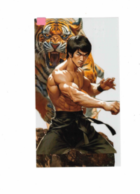 Bruce Lee in Hochglanz und Fotopapier in 56479 Oberrod u.a. (Rheinland-Pfalz)
