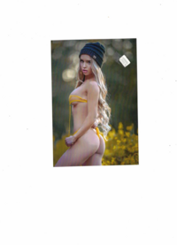 Hochglanzbild auf Fotopapier in 56479 Oberrod u.a. (Rheinland-Pfalz)