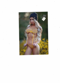 Hochglanzbild auf Fotopapier in 56479 Oberrod u.a. (Rheinland-Pfalz)