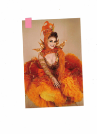Extravagante Frau in Hochglanz auf Fotopapier in 56479 Oberrod u.a. (Rheinland-Pfalz)