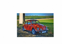 Hochglanzbild auf Fotopapier  VW in 56479 Oberrod u.a. (Rheinland-Pfalz)